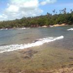 La forest Beach - located before Galera