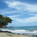 Tobago Beach on the way to Speyside