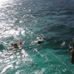 Snorkelling - Buccoo Reef