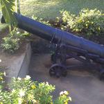 Canon at Tobago Fort