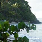 Beach near Anavista